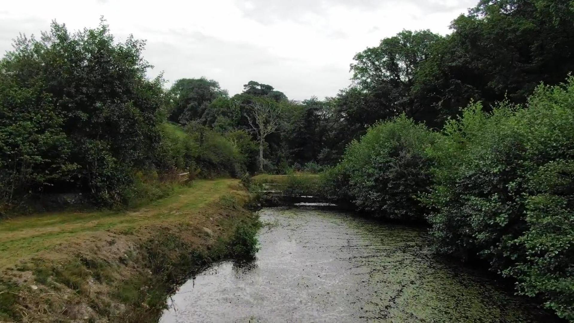 Trelawney Cottage, Sleeps Up To 4, Wifi, Fully Equipped Menheniot Exterior photo