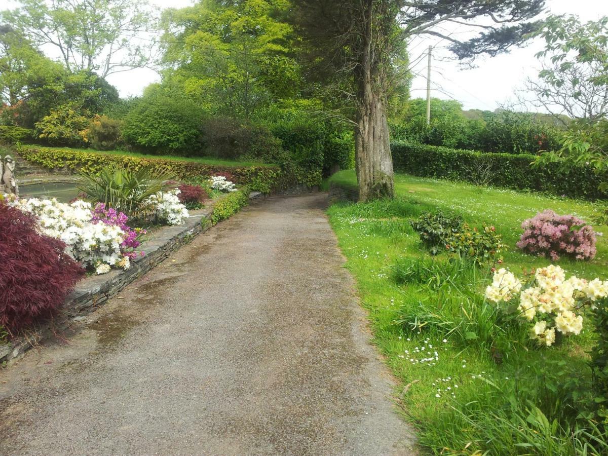 Trelawney Cottage, Sleeps Up To 4, Wifi, Fully Equipped Menheniot Exterior photo