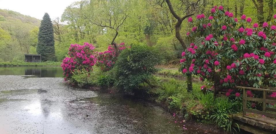 Trelawney Cottage, Sleeps Up To 4, Wifi, Fully Equipped Menheniot Exterior photo